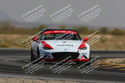 media/Mar-30-2025-Pro Autosports (Sun) [[34ff8f16e0]]/5-Green Group/Session 3 (Turn 15)/